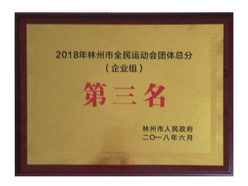 林州市全民 運動會企業(yè)組團體總得分第三名