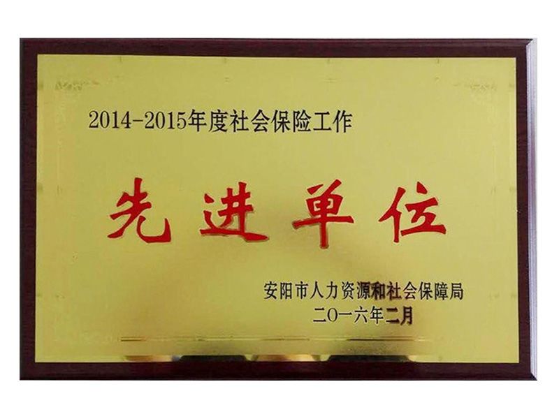 2015年社會保險工作先 進單位